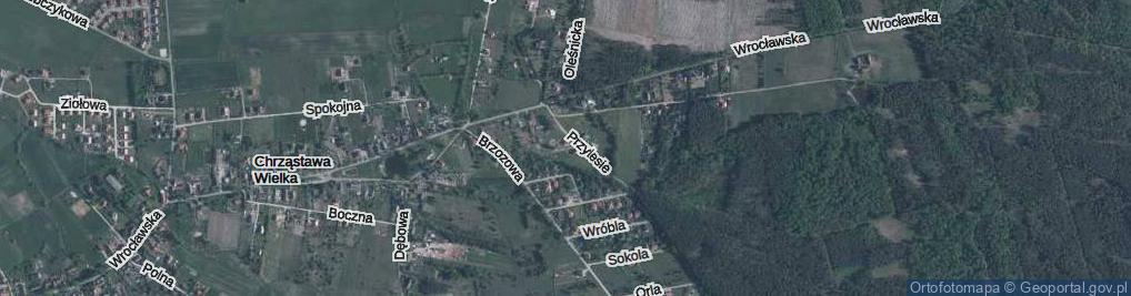 Zdjęcie satelitarne Dzikich Ptaków ul.